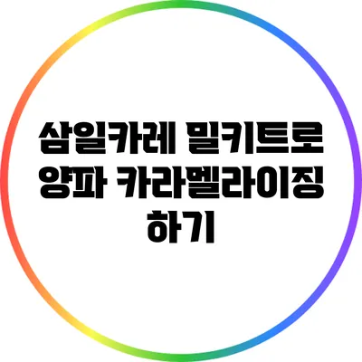 삼일카레 밀키트로 양파 카라멜라이징 하기