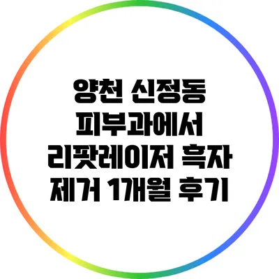 양천 신정동 피부과에서 리팟레이저 흑자 제거 1개월 후기