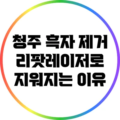 청주 흑자 제거: 리팟레이저로 지워지는 이유