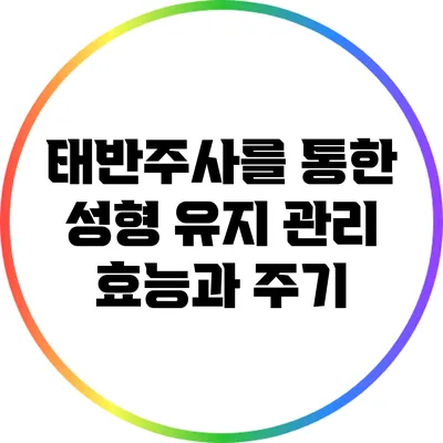 태반주사를 통한 성형 유지 관리: 효능과 주기