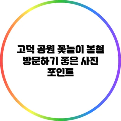 고덕 공원 꽃놀이: 봄철 방문하기 좋은 사진 포인트