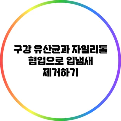 구강 유산균과 자일리톨: 협업으로 입냄새 제거하기