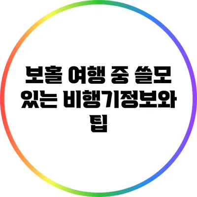 보홀 여행 중 쓸모 있는 비행기정보와 팁
