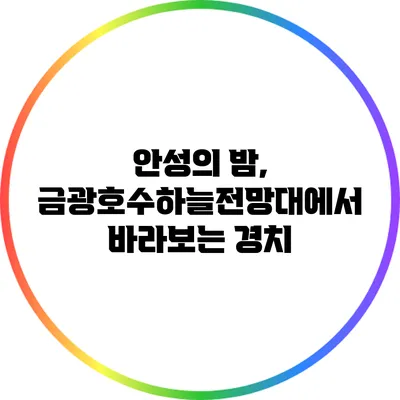 안성의 밤, 금광호수하늘전망대에서 바라보는 경치