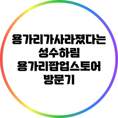 용가리가사라졌다는 성수하림 용가리팝업스토어 방문기