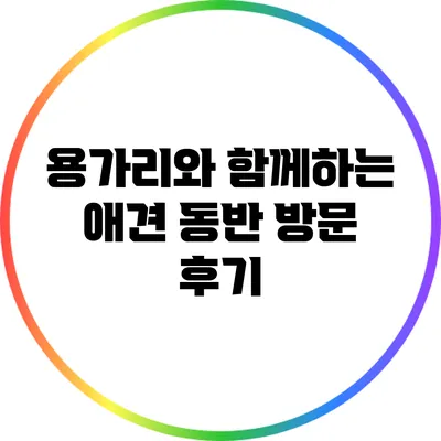 용가리와 함께하는 애견 동반 방문 후기