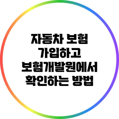 자동차 보험 가입하고 보험개발원에서 확인하는 방법