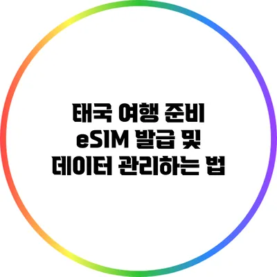 태국 여행 준비: eSIM 발급 및 데이터 관리하는 법