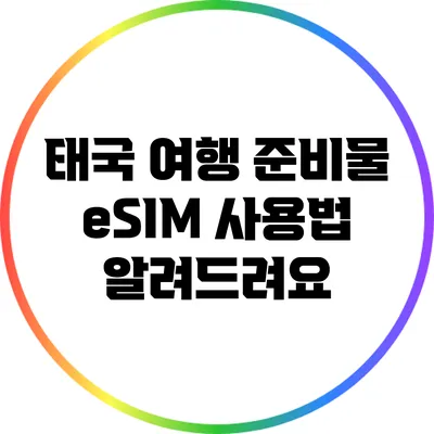 태국 여행 준비물: eSIM 사용법 알려드려요