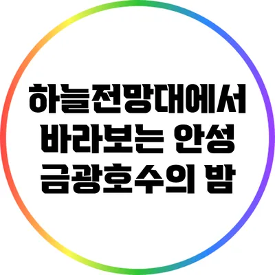 하늘전망대에서 바라보는 안성 금광호수의 밤