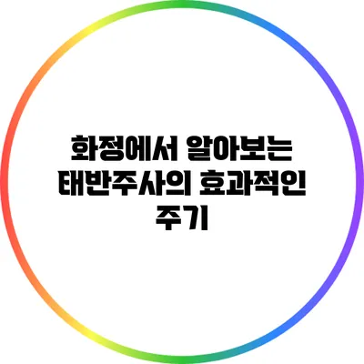 화정에서 알아보는 태반주사의 효과적인 주기