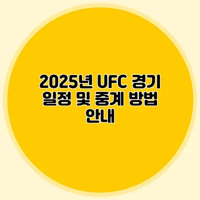 2025년 UFC 경기 일정 및 중계 방법 안내