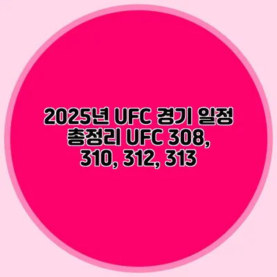 2025년 UFC 경기 일정 총정리 UFC 308, 310, 312, 313