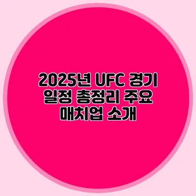 2025년 UFC 경기 일정 총정리 주요 매치업 소개