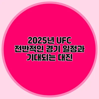 2025년 UFC 전반적인 경기 일정과 기대되는 대진