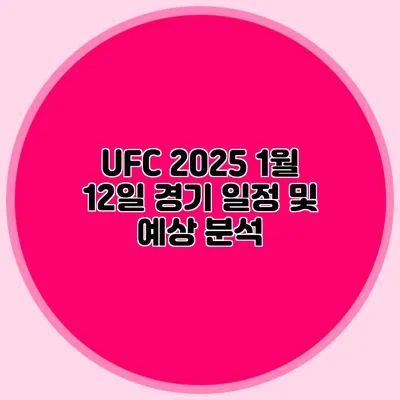 UFC 2025 1월 12일 경기 일정 및 예상 분석