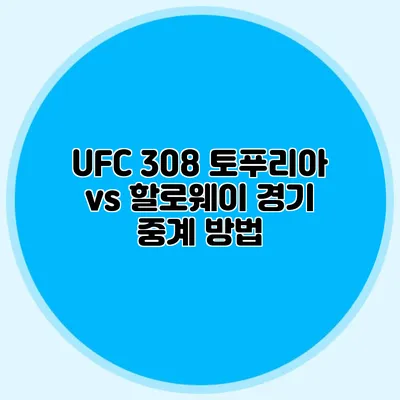 UFC 308 토푸리아 vs 할로웨이 경기 중계 방법