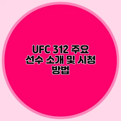 UFC 312 주요 선수 소개 및 시청 방법