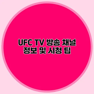 UFC TV 방송 채널 정보 및 시청 팁