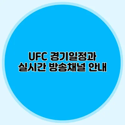 UFC 경기일정과 실시간 방송채널 안내