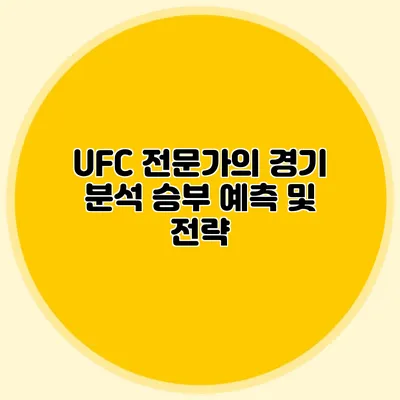 UFC 전문가의 경기 분석 승부 예측 및 전략