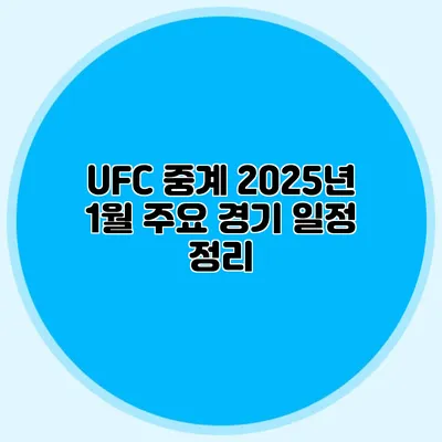UFC 중계 2025년 1월 주요 경기 일정 정리