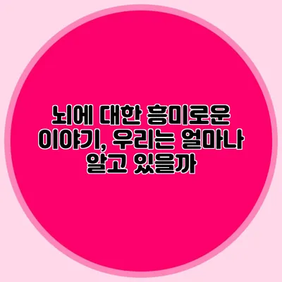 뇌에 대한 흥미로운 이야기, 우리는 얼마나 알고 있을까?