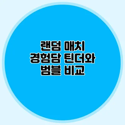 랜덤 매치 경험담 틴더와 범블 비교