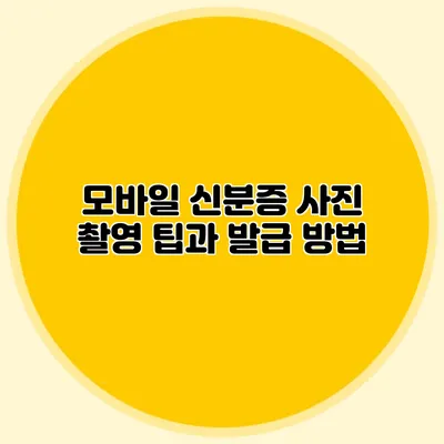 모바일 신분증 사진 촬영 팁과 발급 방법