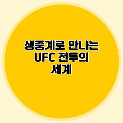 생중계로 만나는 UFC 전투의 세계