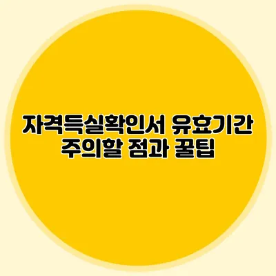 자격득실확인서 유효기간 주의할 점과 꿀팁