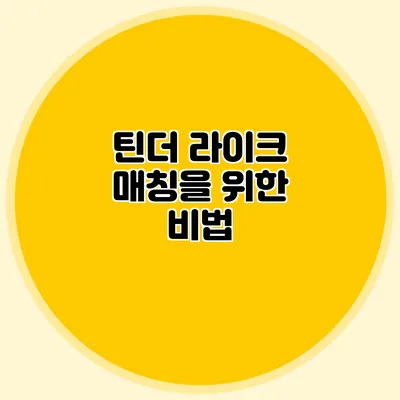 틴더 라이크 매칭을 위한 비법