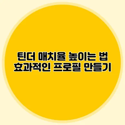 틴더 매치율 높이는 법 효과적인 프로필 만들기