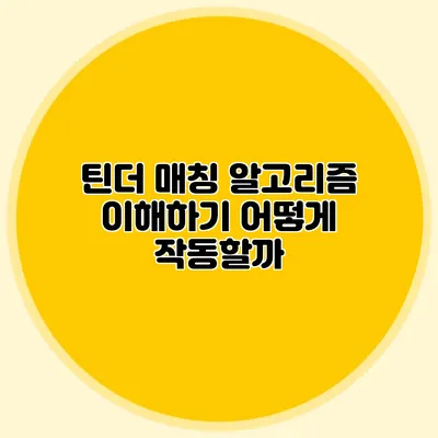 틴더 매칭 알고리즘 이해하기 어떻게 작동할까?