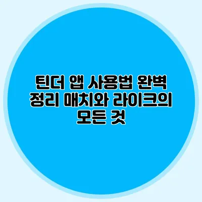 틴더 앱 사용법 완벽 정리 매치와 라이크의 모든 것
