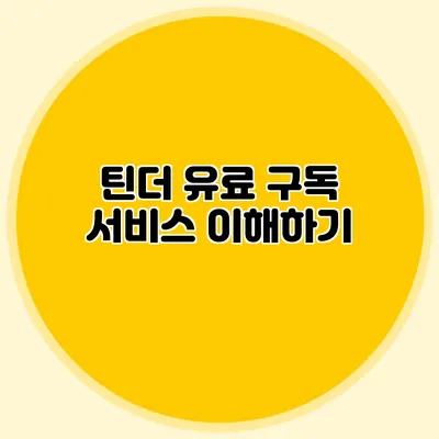 틴더 유료 구독 서비스 이해하기