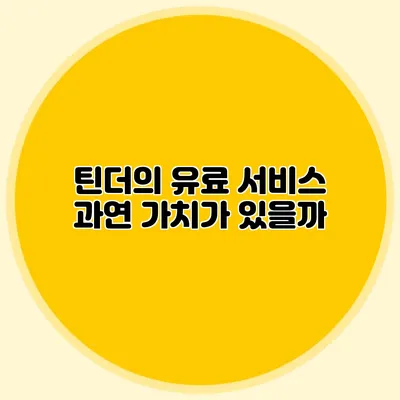 틴더의 유료 서비스 과연 가치가 있을까?
