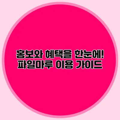 홍보와 혜택을 한눈에! 파일마루 이용 가이드