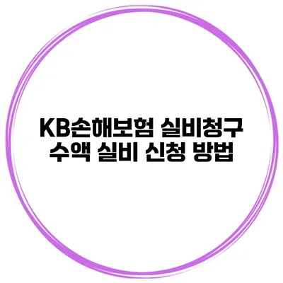 KB손해보험 실비청구 수액 실비 신청 방법