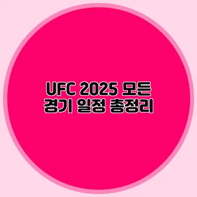 UFC 2025 모든 경기 일정 총정리