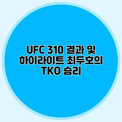 UFC 310 결과 및 하이라이트 최두호의 TKO 승리