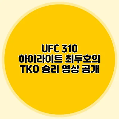 UFC 310 하이라이트 최두호의 TKO 승리 영상 공개