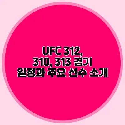UFC 312, 310, 313 경기 일정과 주요 선수 소개