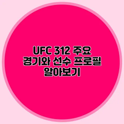 UFC 312 주요 경기와 선수 프로필 알아보기