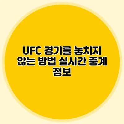 UFC 경기를 놓치지 않는 방법 실시간 중계 정보