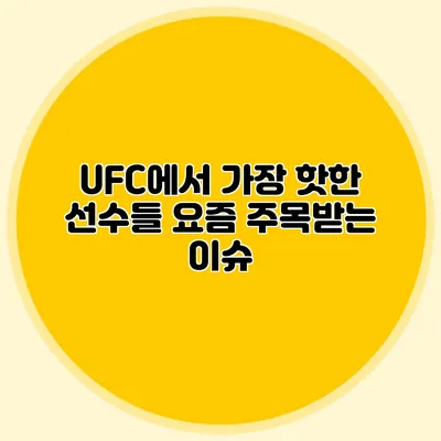 UFC에서 가장 핫한 선수들 요즘 주목받는 이슈