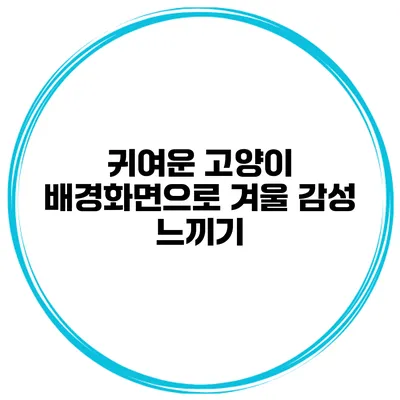귀여운 고양이 배경화면으로 겨울 감성 느끼기