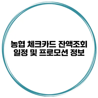 농협 체크카드 잔액조회 일정 및 프로모션 정보