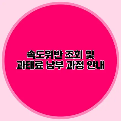 속도위반 조회 및 과태료 납부 과정 안내