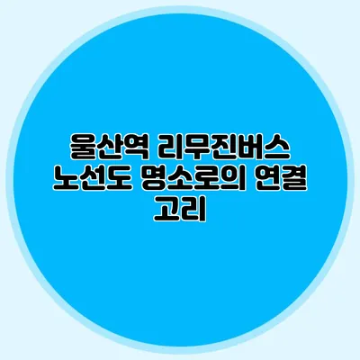 울산역 리무진버스 노선도 명소로의 연결 고리
